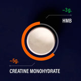 Blonyx HMB+ Creatine user guide video