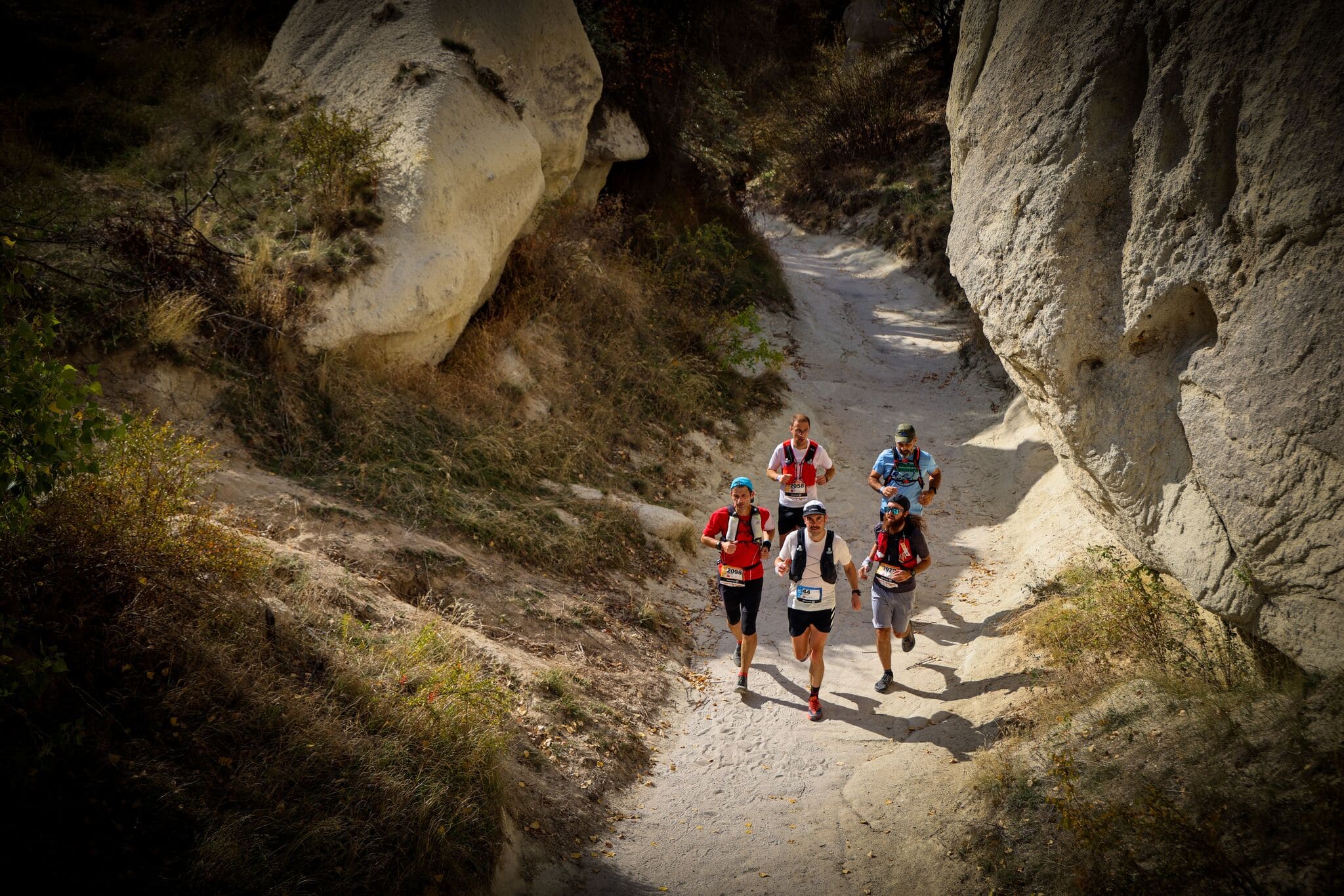 Small pack of ultrarunners