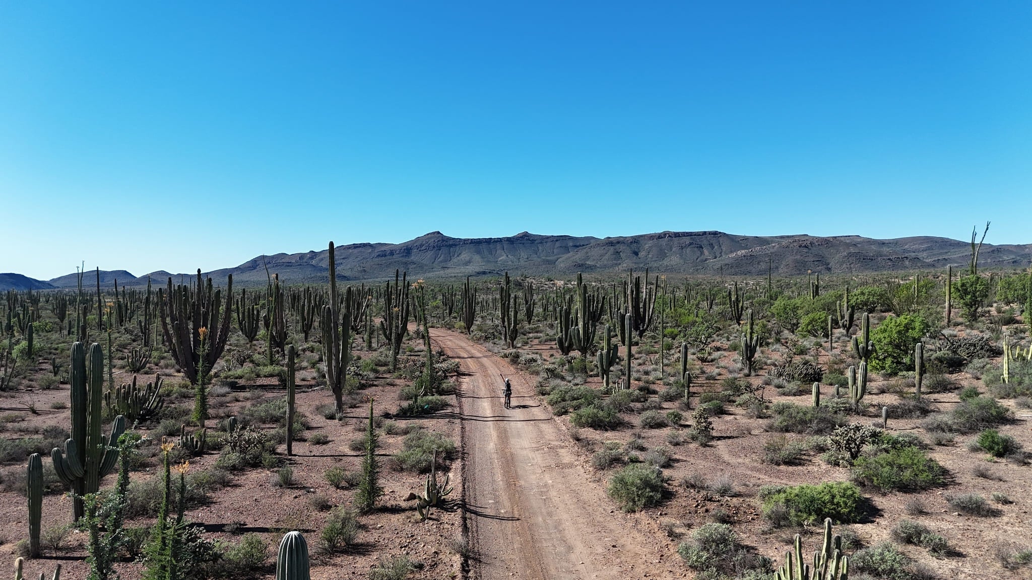 Claudia cycling in Baja Mexico